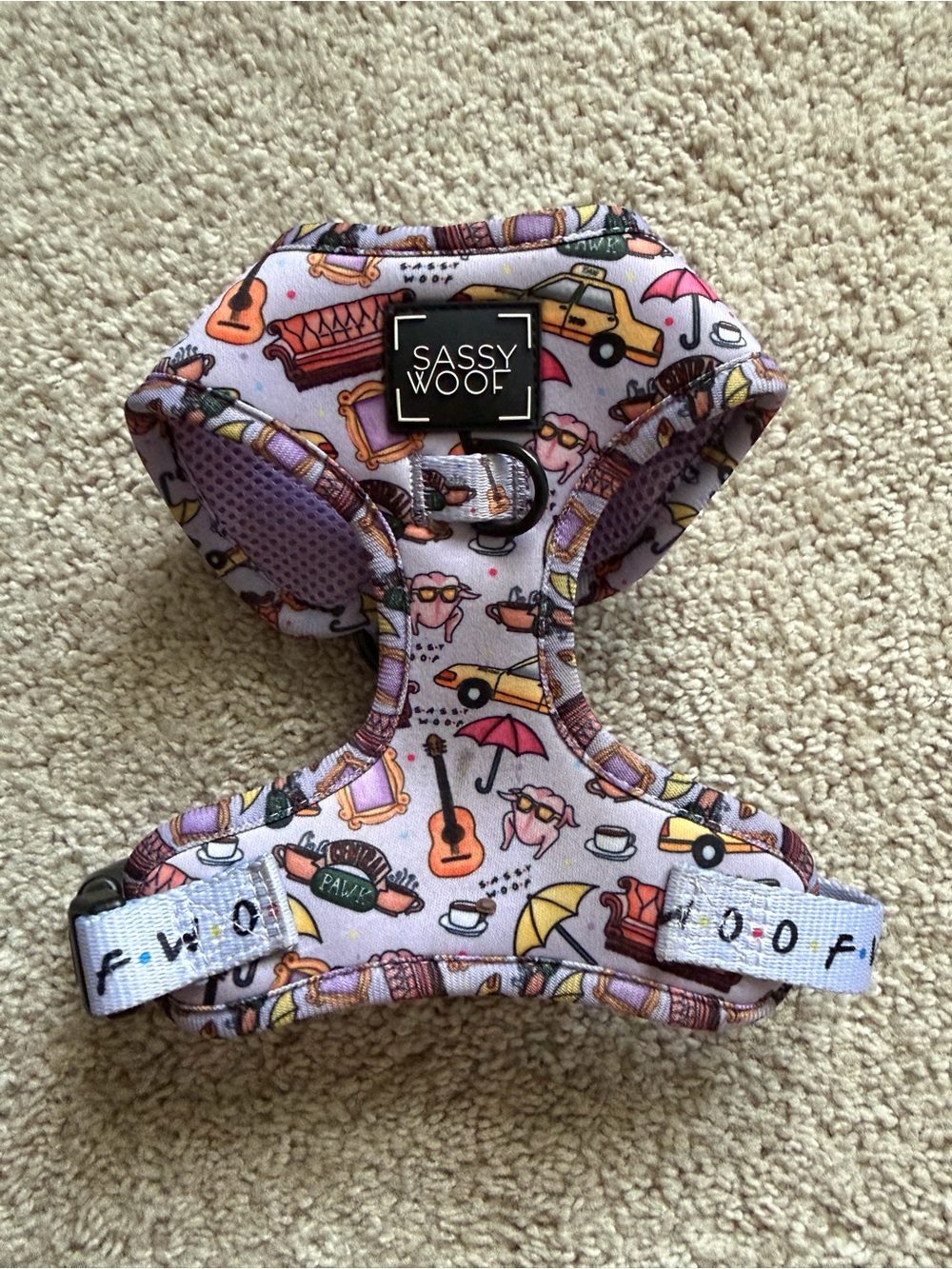 Sassy Woof Harness Leash Bundle - Picture 12 of 16